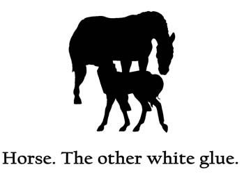 Horse - The Other White Glue