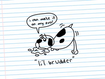 li'l brudder